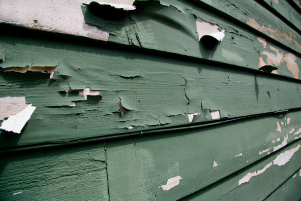  Brownsville, KY Junk Removal Pros