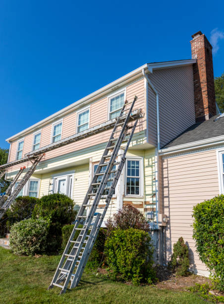 Best Hoarding Cleanup  in Brownsville, KY